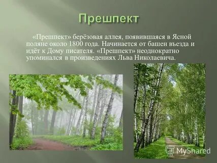 Поляне значение