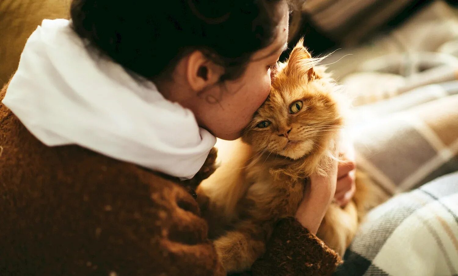 Включи человек и кот. Кот обнимает. Кот обнимает человека. Женщина с котом. Девушка с рыжим котом.