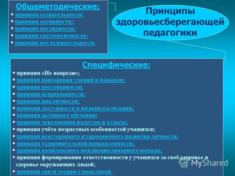 общеметодические принципы обучения русскому языку