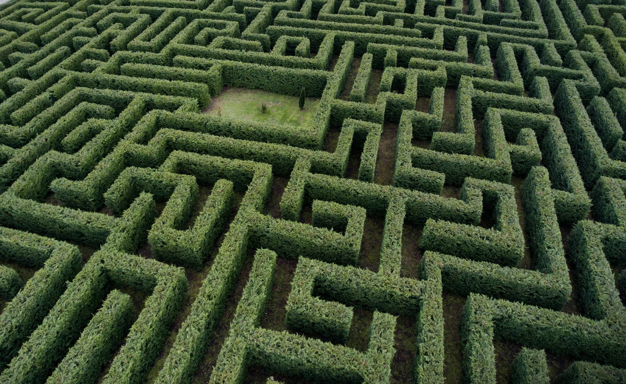 Лабиринт сейчас. Большой лабиринт. Лабиринт сейчас. Лабиринт сейчас. Самый сложный лабиринт в мире.