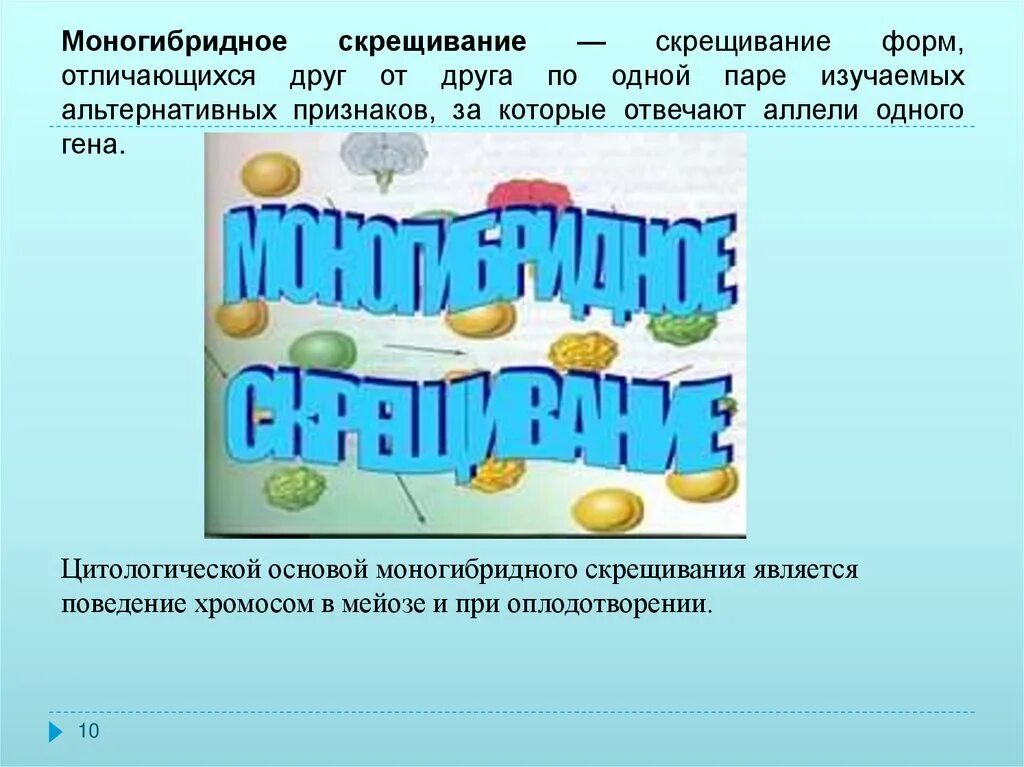 Скрещивание особей отличающихся друг от друга. Скрещивание форм отличающихся друг от друга по одной. Скрещивание особей отличающихся по одной паре признаков. Формы отличаются по одной паре. Одна пара альтернативных признаков.