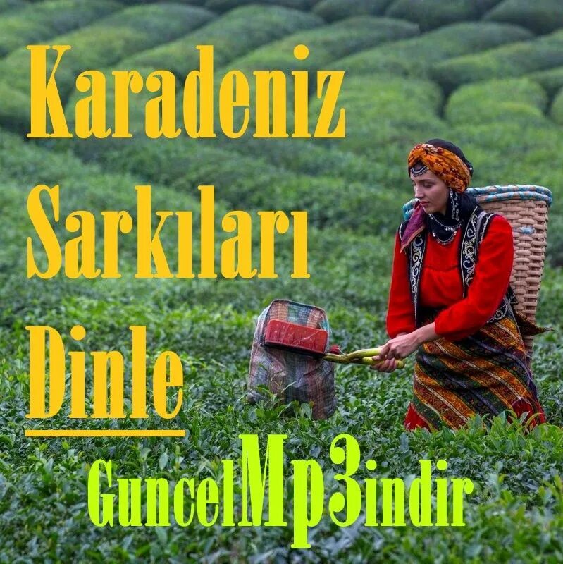Karadeniz mp3. Şarkikaradeniz. Karadeniz mp3. Karadeniz mp3. Karadeniz mp3.