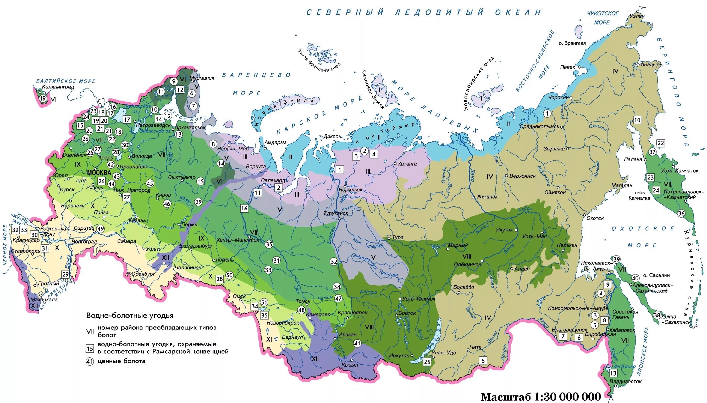 Карта болотистых. Заболоченные территории России на карте. Карта болот РФ. Карта распространения болот по территории России. Болота на территории России на карте.