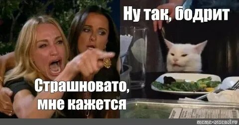 Мем с котом и двумя женщинами
