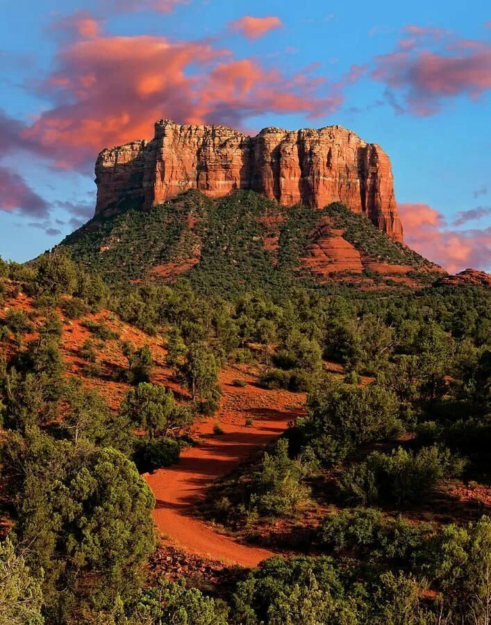 Аризона седона красные горы дерево. Горы каньон. Аризона места. Red rock canyon state park. Аризона седона красные горы дерево.