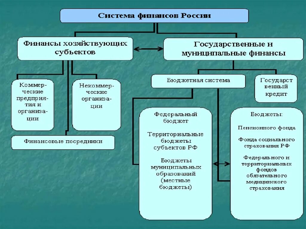 Государственные финансовые учреждения пример. Системы организации финансов. Финансы и финансовая система организации. Финансовый механизм финансов государство. Виды финансовых систем.