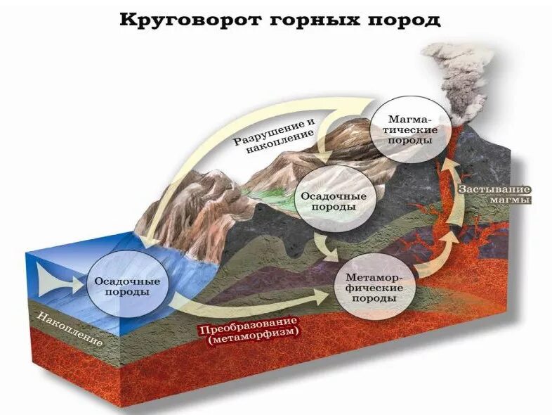 Составьте схему отражающую последовательность