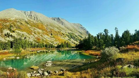 Altai territory