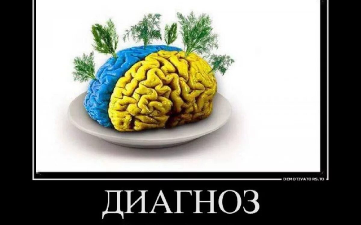 Глупые мозги. Укроп головного мозга. Хохол головного мозга.