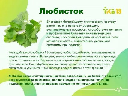 Зелень для кишечника