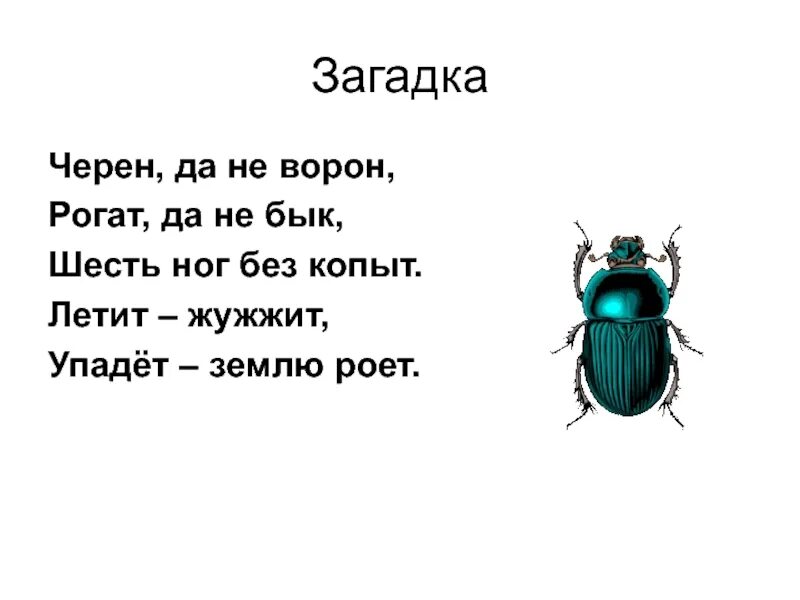 Черные загадки. Чёрен да не ворон рогат да не бык шесть ног без копыт. Чёрен да не ворон рогат да не бык. Загадка чёрен да не ворон рогат да не бык шесть ног без копыт ответ. Черно не ворон рогат не бык.