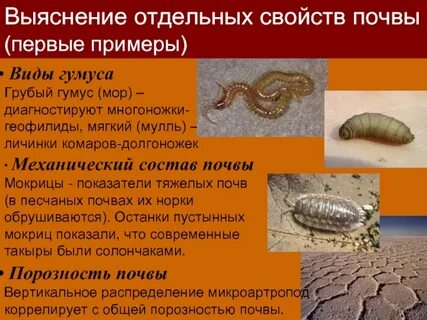 Биоиндикаторы