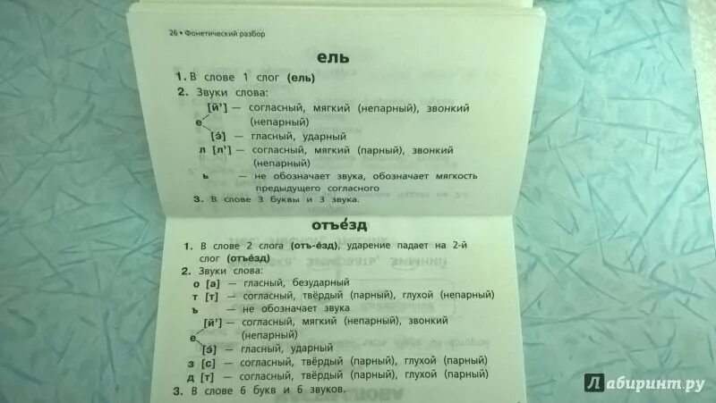 Еловые звуки буквы. Морфологический разбор слова ель. Звуко буквенный анализ слова ель. Ванетический разбор слово ел. Фонетическиф разбор слово ель.