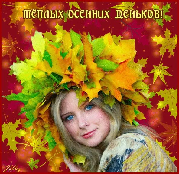 Хорошего осеннего денька. Вот и осень и дождь в окно стучится вот и осень. С воскресным осенним деньком. Красота осени. Тёплого дня осени.