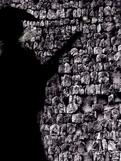 Wall of shadow