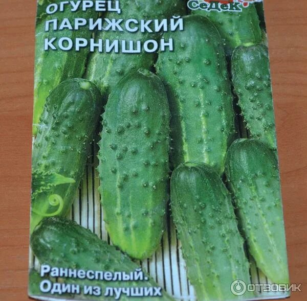 GEOLIA LM# 17584831 - купить по выгодным ценам в интернет-магазине OZON (4837919