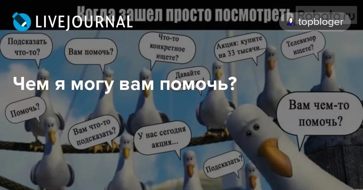 Это что как вам помочь. Я могу вам помочь. я могу вам чем нибудь помочь. чем помочь.