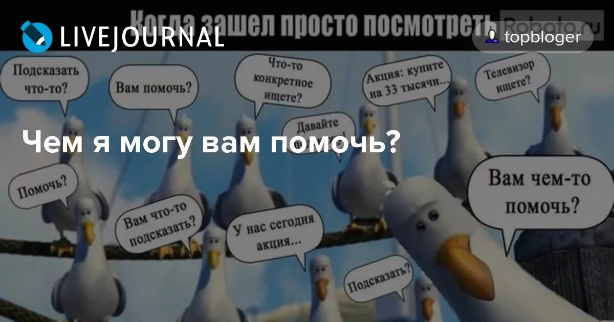 На что я могу. Вам что то подсказать. Я могу вам помочь. Чем вам помочь. Здравствуйте чем могу вам помочь.