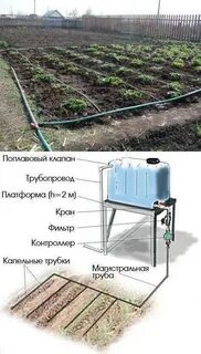 Как сделать капельный полив теплицы своими руками