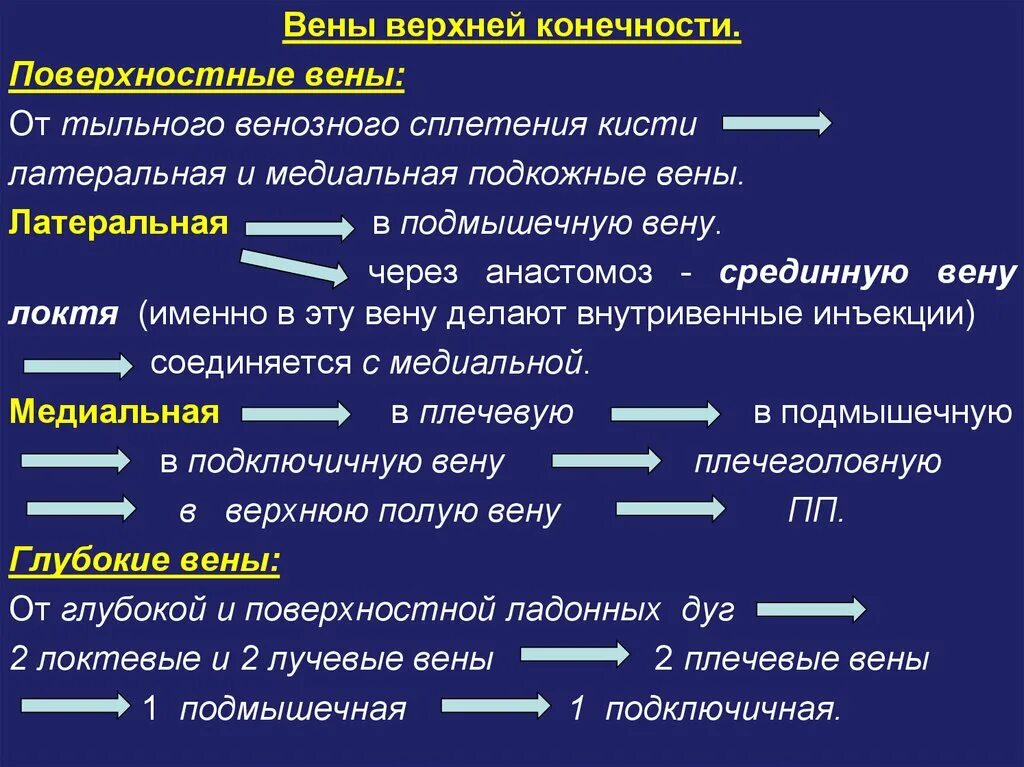 Поверхностные вены верхней конечности. Венозный отток от верхней конечности. Как классифицируются вены верхней конечности?. Глубокие вены верхней конечности анатомия.