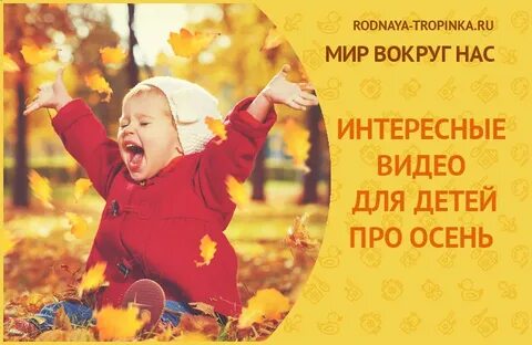Осень видео для малышей