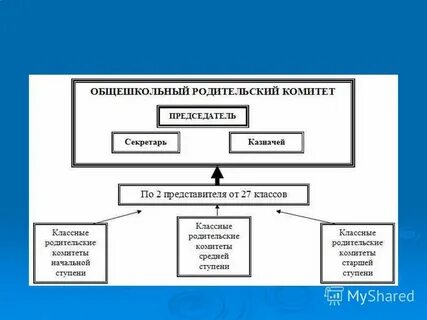 Практики родительского комитета