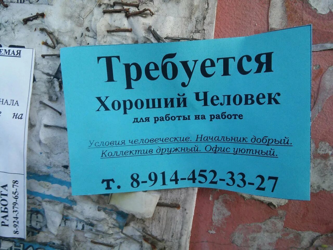 Картинки про работу. Прикольные объявления о работе. Смешные объявления о работе. Креативные объявления о работе. Объявление о работе.