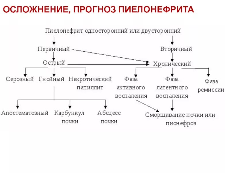 Пиелонефрит лекция. Осложнения хронического пиелонефрита. Схема при хронический пиелонефрит. Патогенетическая терапия пиелонефрита. Патогенез острого пиелонефрита схема.