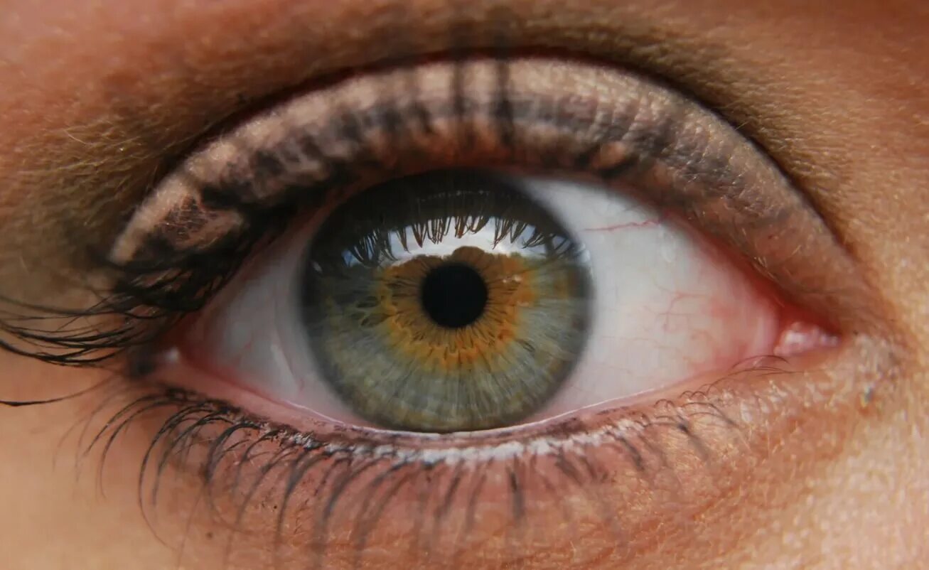 Разнообразие глаз. Глаз человека. Глаз крупным планом. Здоровый глаз человека. Цвет глаз.