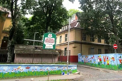 Дмитрия донского 27 детская областная