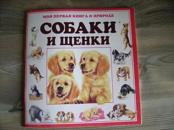 Книги о собаках отзывы. Книжка собаки и щенки. Книги о собаках для детей. Детские книги про собак. Детская книга про собаку.