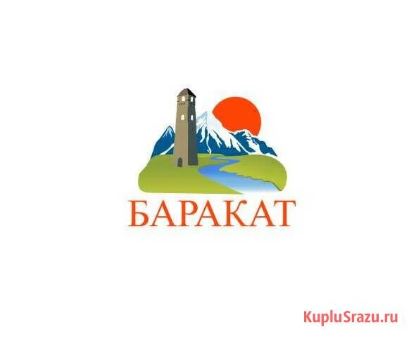 Ооо баракат. Баракат логотип. Баракат Грозный логотип. Лого товарный знак Баракат. Лого по имени Баракат.