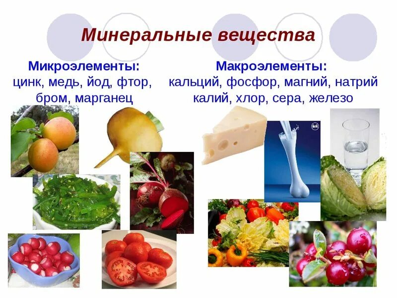 Вещества содержится. Микроэлементы калий натрий магний кальций железо цинк фосфор. витамины минералы микроэлементы макроэлементы. минеральные вещества 5 класс. минеральные вещества в пище.