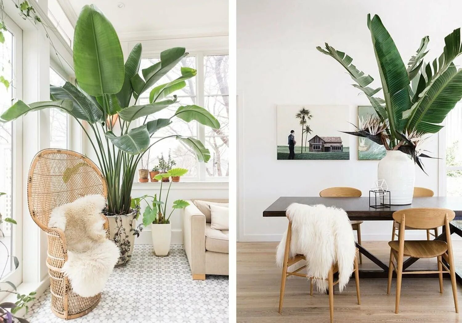 Best Inspiration Modern Indoor plants decor Home garden design ideas 2019 - YouT