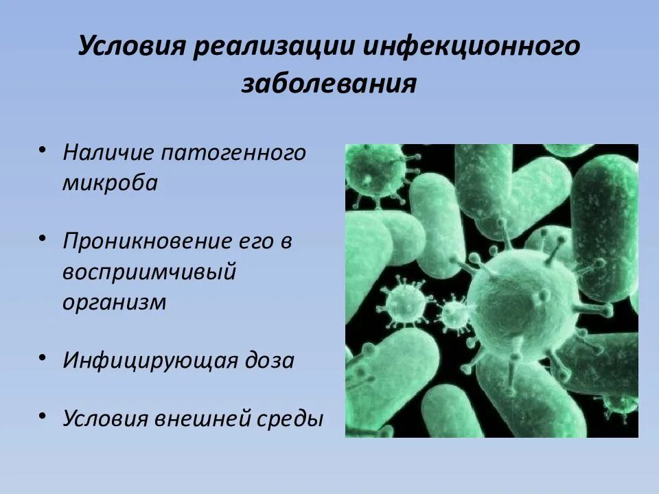 Какие условия способствуют распространению бактерий. Условия патогенности микроорганизмов. Условия патогенности бактерий. Условия для реализации инфекционного заболевания. Распространение болезнетворных бактерий.