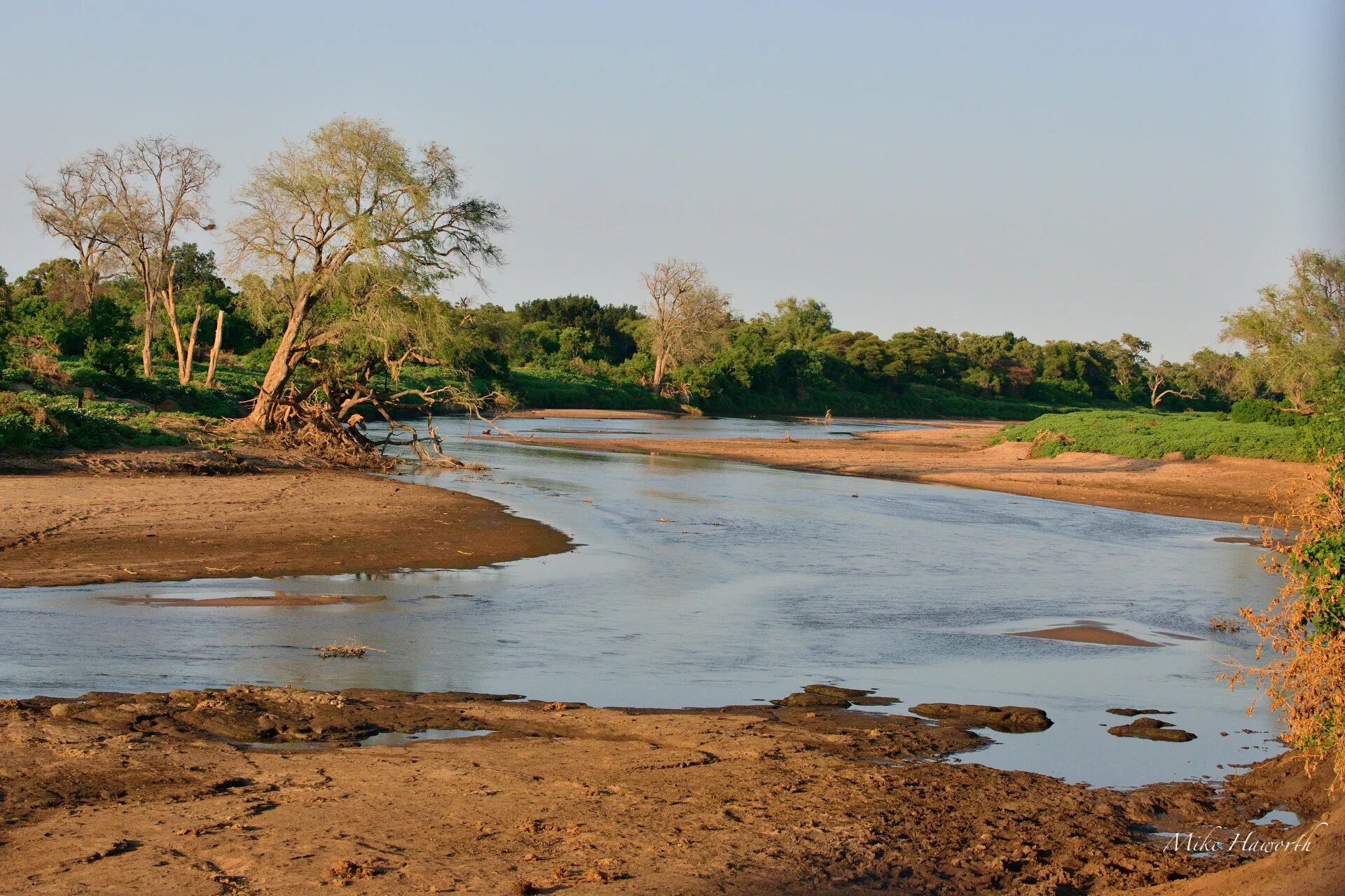 Africa river. Лимпопо река в Африке. Река Лимпопо ЮАР. Река Африке Лимпопо оранжевая. Река Лимпопо фото.