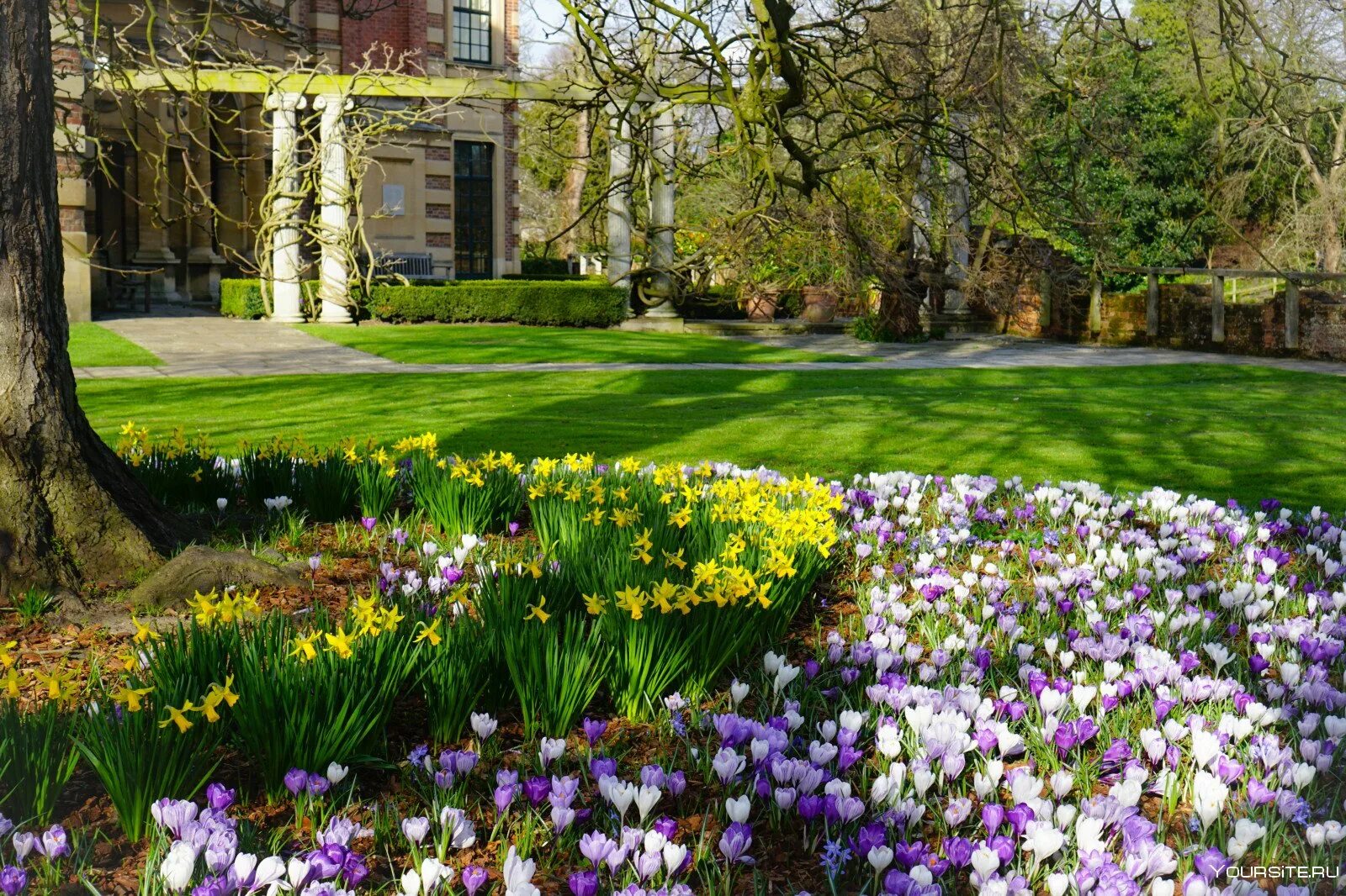 Весенний сад (Spring Topiary Garden). Весенние цветущие усадебные сады Англии. Хелен парк+ ландшафт.