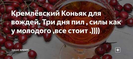 Коньяк кремлевский. Кремлёвский коньяк из шиповника. Кремлевская настойка. Как делать Кремлевский настой.