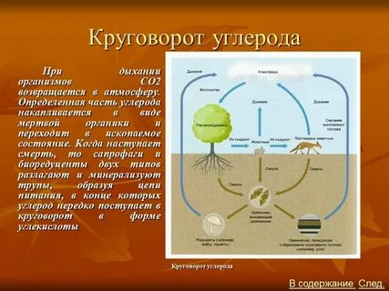Процесс образования углерода
