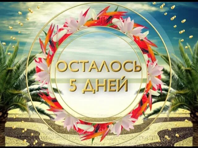 Пятое лето года