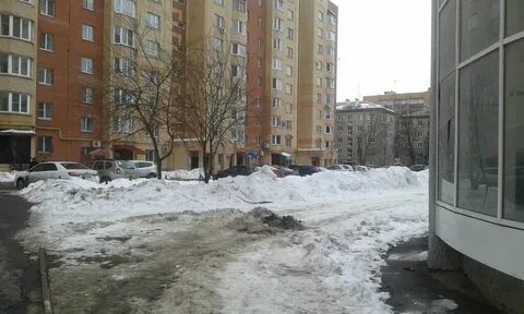 Новодент коломна