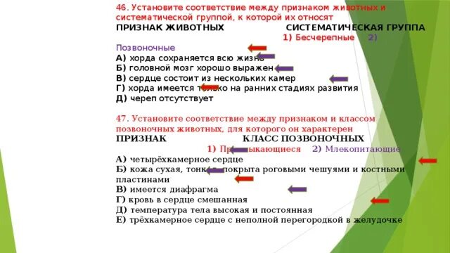 Соответствие между классом животного и его признаками. Организма и систематической группой к которой он. Установите соответствие между группами животных. Установи соответствие между классом животных и его признаками.