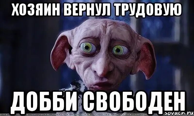 Добби подарили носок. Добби свободен. добби хозяин. добби свободен носок. добби свободен мем.