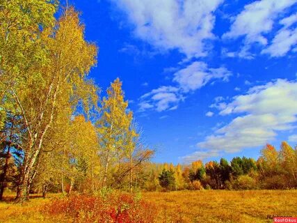 Уральская золотая