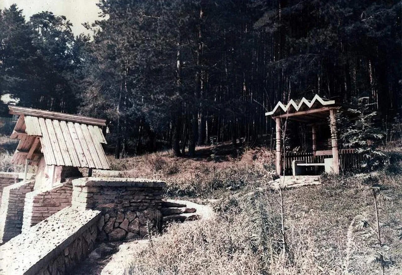 Родник набережные челны. Боровецкий Родник. Боровецкий Родник Набережные. Родник в Боровецком лесу Набережные Челны. Родник Святой Параскевы Набережные Челны.