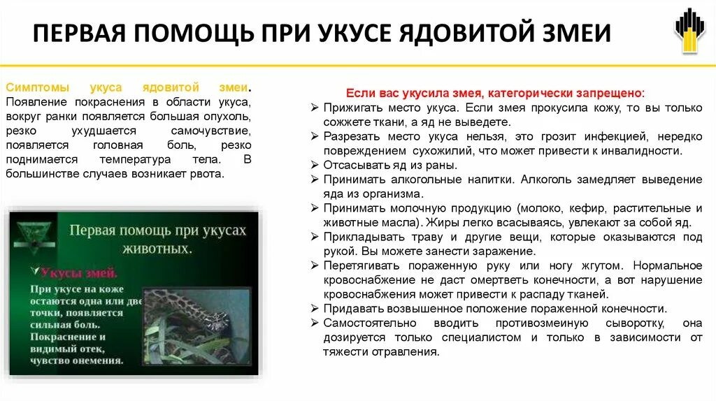 Оказание 1 помощи при укусах змей. Укус змеи первая помощь. При укусе ядовитой змеи:. Меры первой помощи при укусе змеи.