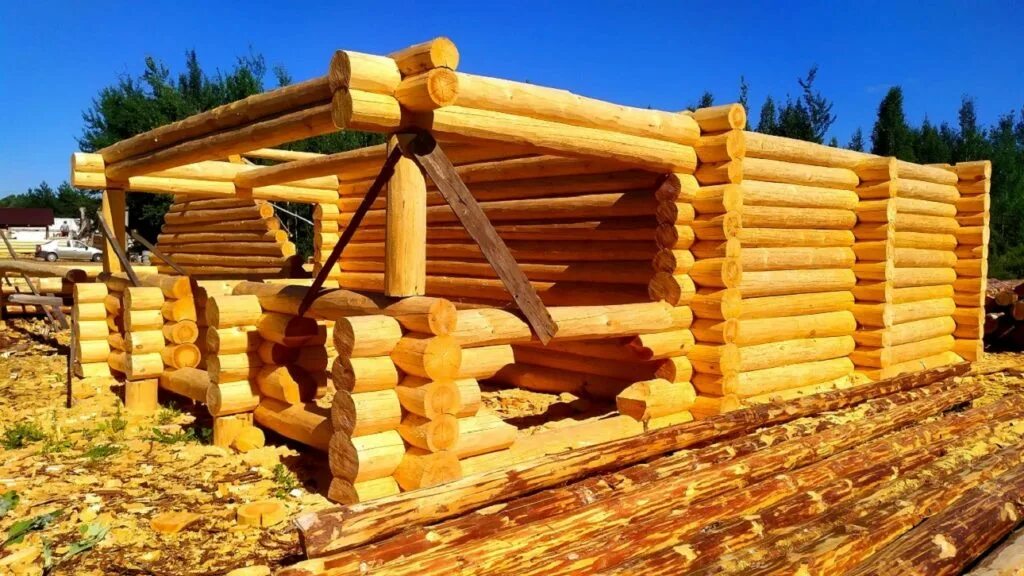 Срубы новгород. Дом сруб. Бревенчатый дом. Срубы новгород. Дома от михалыча нижний.