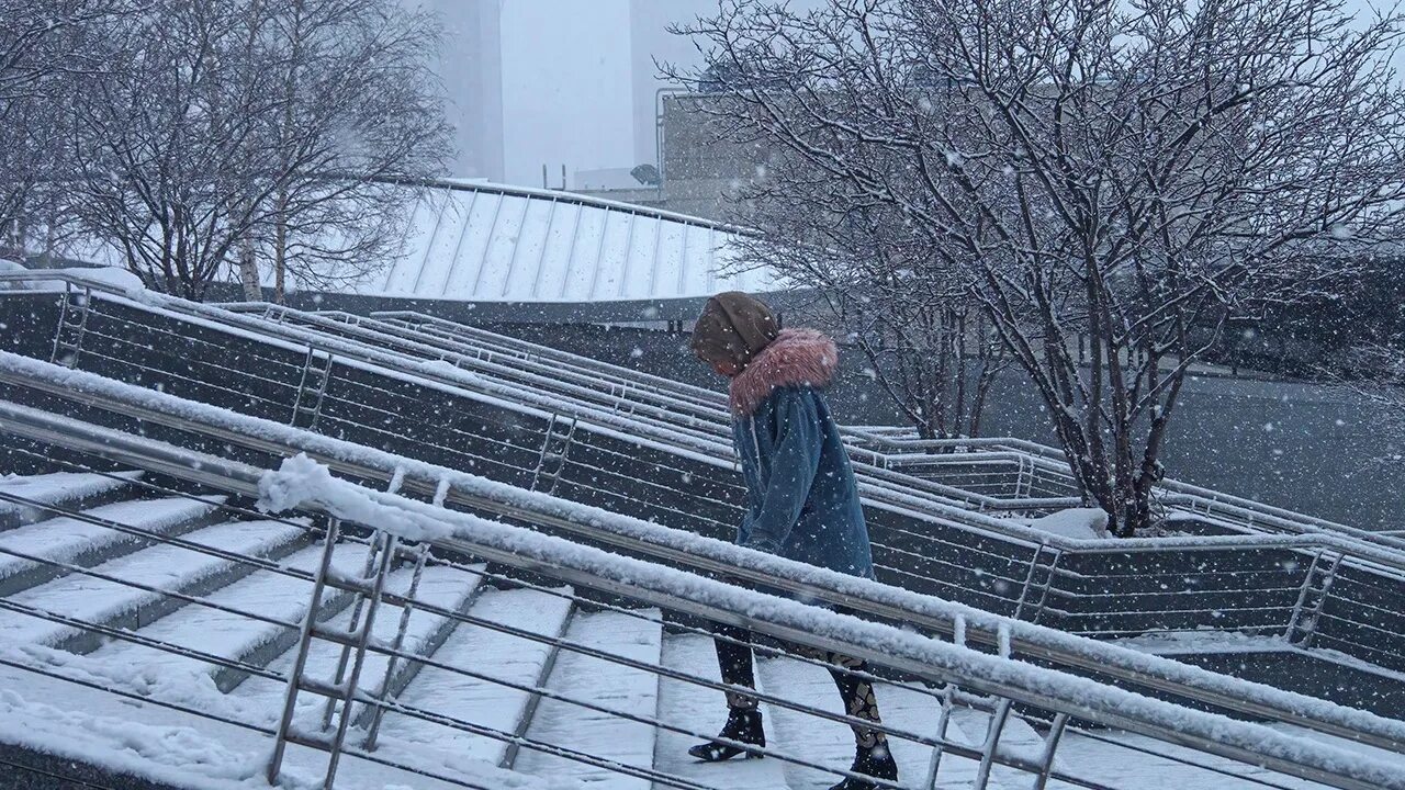 Сильный будет снегопад. Снегопад в Москве. Сильный снегопад. Фотографии снегопада. Метель в Москве.