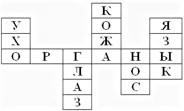 Кроссворд органы чувств 3 класс окружающий мир. Кроссворд на тему органы чувств. Органы чувств человека кроссворд. Кроссворд по органам чувств. Кроссворд орган слуха