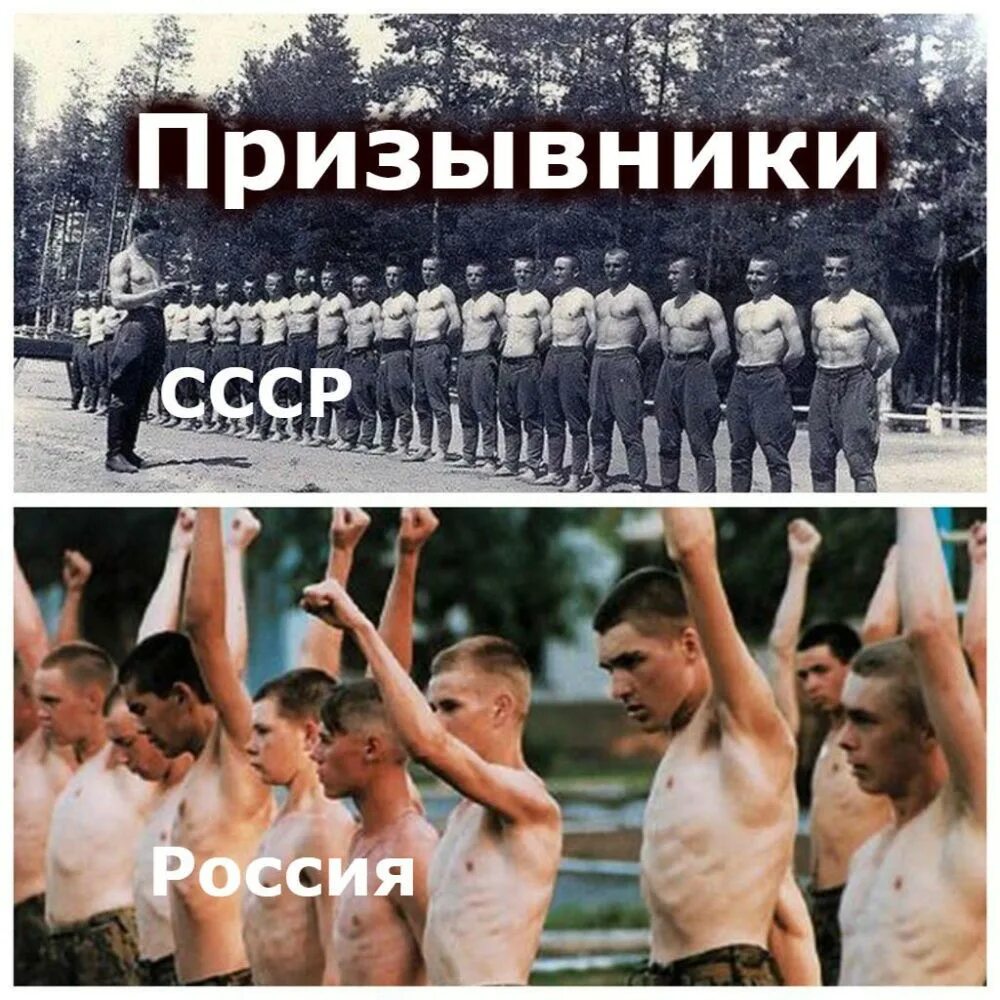 Призыв на военную службу. Выбирай призыв. С днем дипломатического работника открытка. 10 февраля день дипломатического работника. Годен к военной службе.